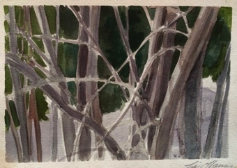 Winter trees Winter trees